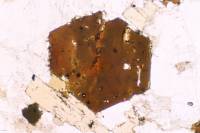 Biotite automorphe LPNA x10